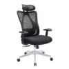 Ergonomic Office Chair
