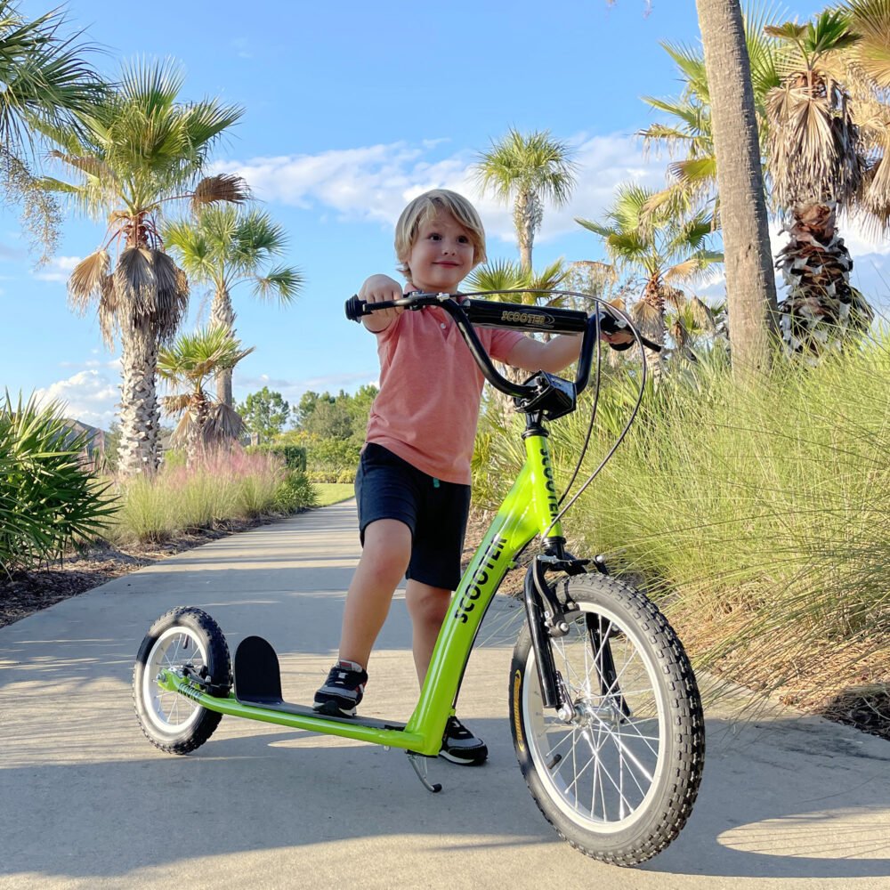 Youth Scooter With Adjustable Handlebar, Front And Rear Dual Brakes & Inflatable Wheels, For Kids 5 Green