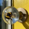 Resin Decorative Door Handle